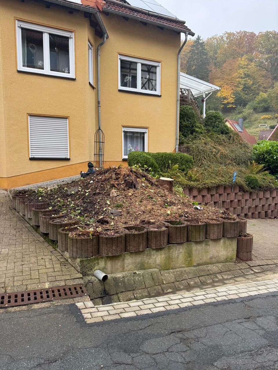 Vorgarten nach der Baumfällung durch EKO FORST, Schnittgut noch vor dem Abtransport