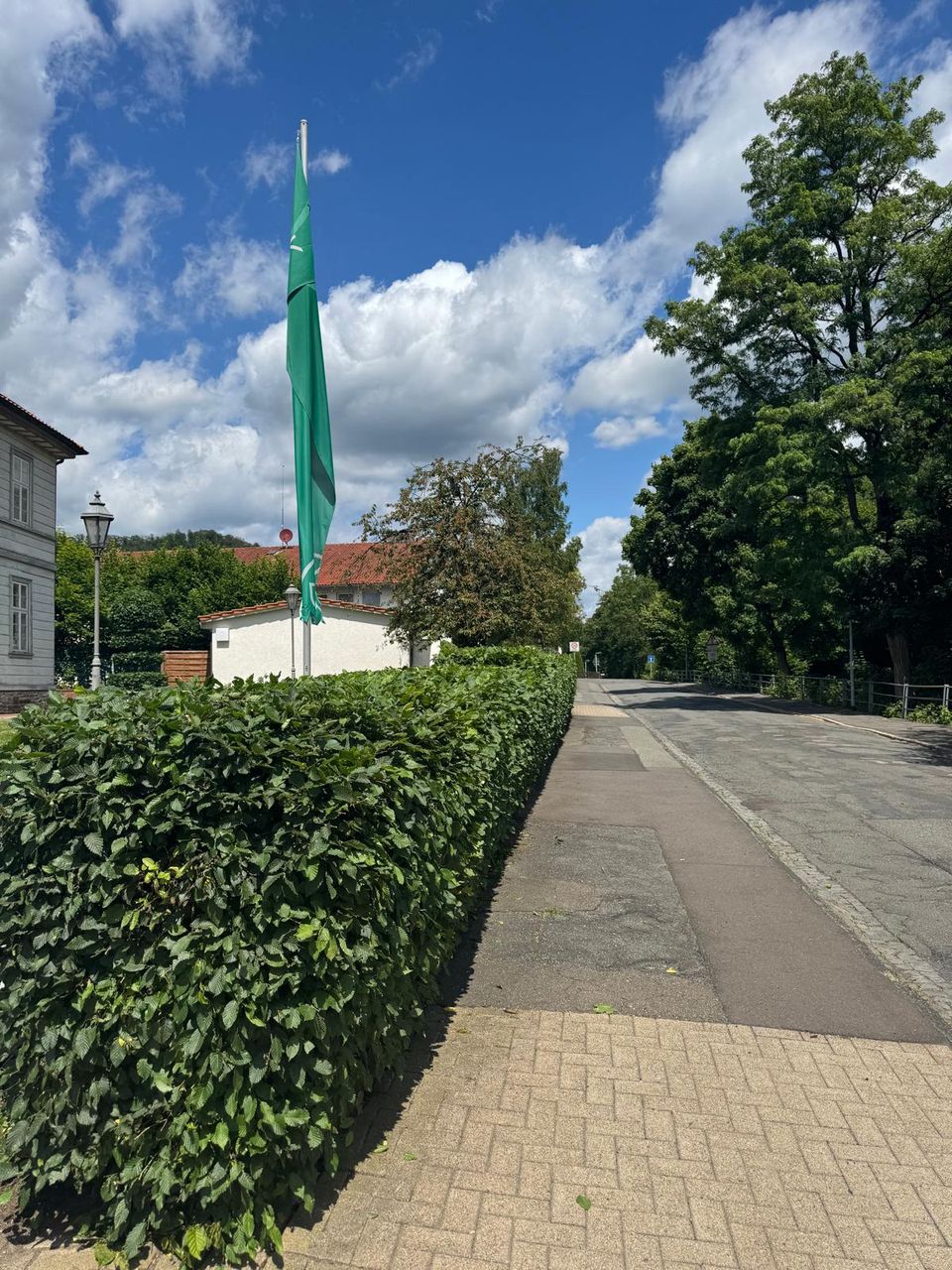 Gleichmäßig geschnittene Hecke nach der Pflege durch EKO FORST