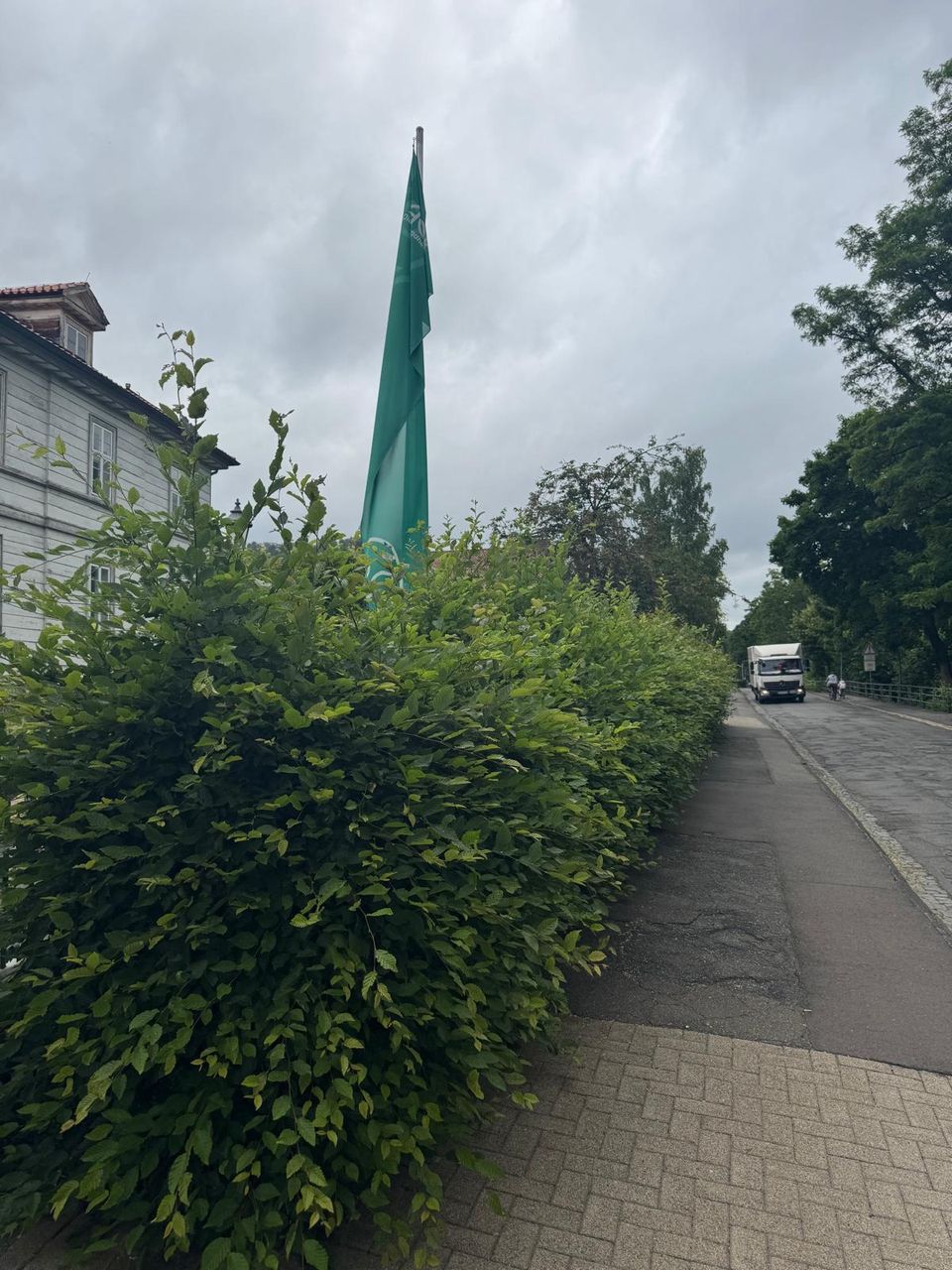 Unregelmäßig gewachsene Hecke entlang eines Gehwegs vor dem Heckenschnitt in Bad Lauterberg im Harz