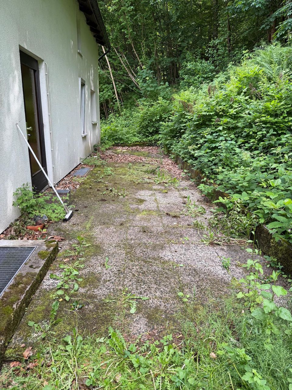 Bemooster und zugewachsener Gehweg neben einem Haus vor der Grundstückspflege in Bad Lauterberg im Harz