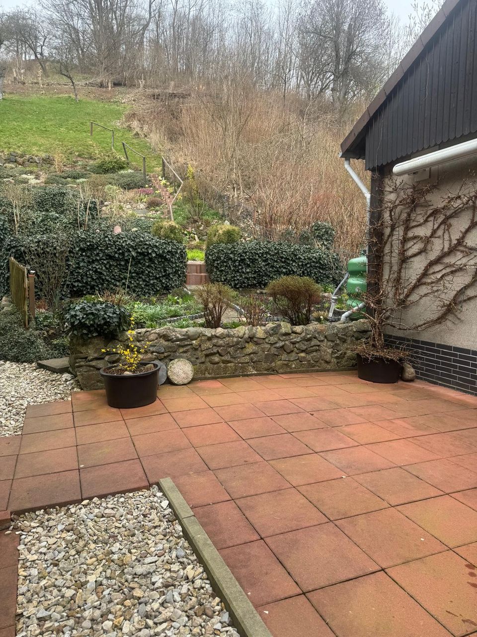 Terrasse mit verwitterten, grünlich belegten Betonplatten vor der Hochdruckreinigung in Bad Lauterberg im Harz